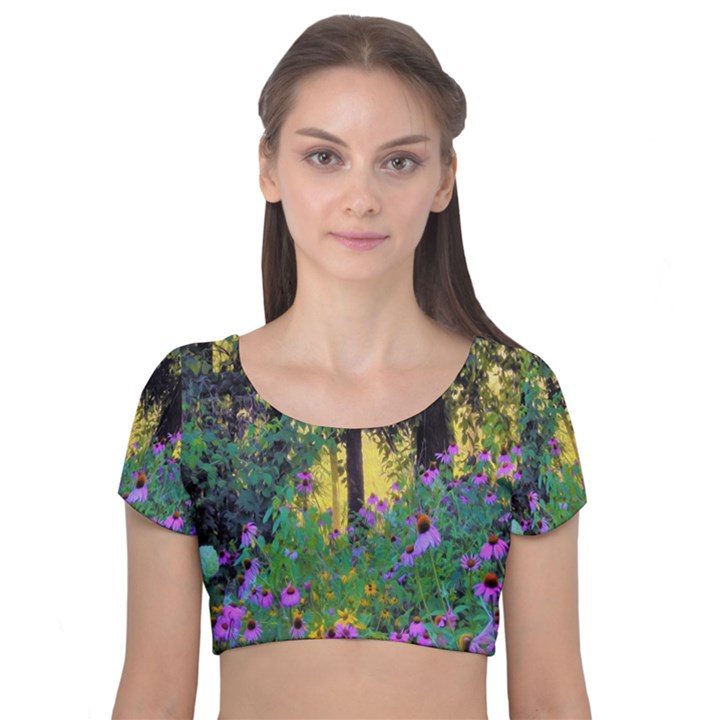 Hazy Morning Sunrise In My Rubio Garden Velvet Short Sleeve Crop Top 