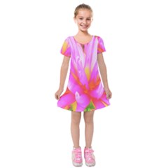 Fiery Hot Pink And Yellow Cactus Dahlia Flower Kids  Short Sleeve Velvet Dress by myrubiogarden