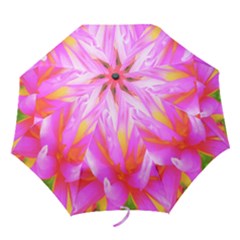 Fiery Hot Pink And Yellow Cactus Dahlia Flower Folding Umbrellas by myrubiogarden