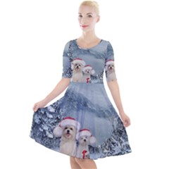 Christmas, Cute Dogs And Squirrel With Christmas Hat Quarter Sleeve A-line Dress by FantasyWorld7