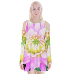 Pretty Pink, White And Yellow Cactus Dahlia Macro Velvet Long Sleeve Shoulder Cutout Dress by myrubiogarden