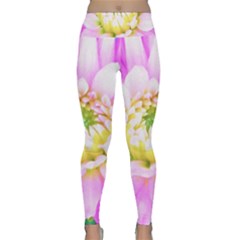 Pretty Pink, White And Yellow Cactus Dahlia Macro Lightweight Velour Classic Yoga Leggings by myrubiogarden