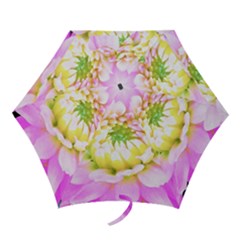 Pretty Pink, White And Yellow Cactus Dahlia Macro Mini Folding Umbrellas by myrubiogarden