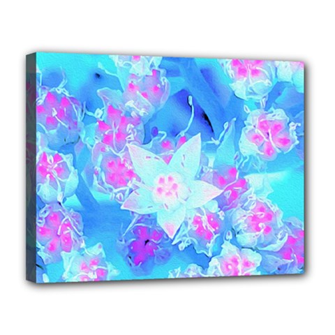 Blue And Hot Pink Succulent Underwater Sedum Canvas 14  X 11  (stretched) by myrubiogarden