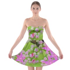 Hot Pink Succulent Sedum With Fleshy Green Leaves Strapless Bra Top Dress by myrubiogarden