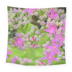 Hot Pink Succulent Sedum With Fleshy Green Leaves Square Tapestry (large)