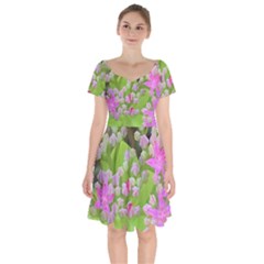 Hot Pink Succulent Sedum With Fleshy Green Leaves Short Sleeve Bardot Dress