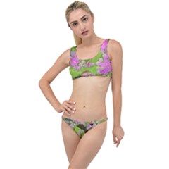 Hot Pink Succulent Sedum With Fleshy Green Leaves The Little Details Bikini Set by myrubiogarden