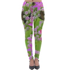 Hot Pink Succulent Sedum With Fleshy Green Leaves Lightweight Velour Leggings by myrubiogarden