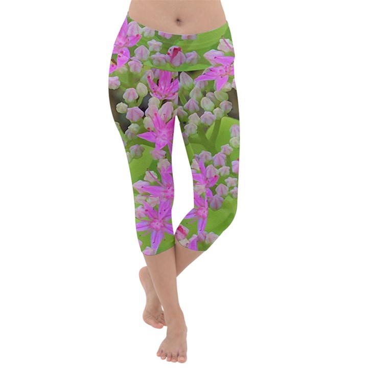 Hot Pink Succulent Sedum With Fleshy Green Leaves Lightweight Velour Capri Yoga Leggings
