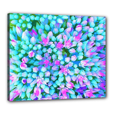 Blue And Hot Pink Succulent Sedum Flowers Detail Canvas 24  X 20  (stretched) by myrubiogarden