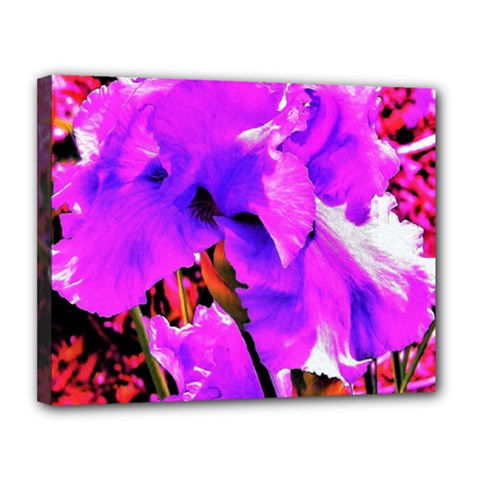 Abstract Ultra Violet Purple Iris On Red And Pink Canvas 14  X 11  (stretched) by myrubiogarden