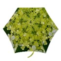 Elegant Chartreuse Green Limelight Hydrangea Macro Mini Folding Umbrellas View1