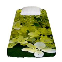 Elegant Chartreuse Green Limelight Hydrangea Macro Fitted Sheet (single Size) by myrubiogarden