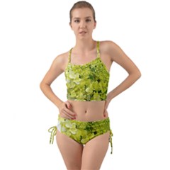Elegant Chartreuse Green Limelight Hydrangea Macro Mini Tank Bikini Set by myrubiogarden