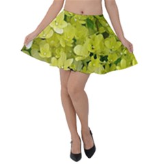 Elegant Chartreuse Green Limelight Hydrangea Macro Velvet Skater Skirt by myrubiogarden