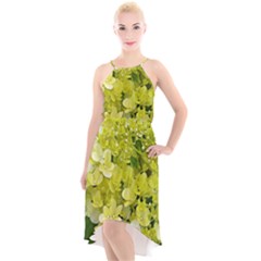 Elegant Chartreuse Green Limelight Hydrangea Macro High-low Halter Chiffon Dress 