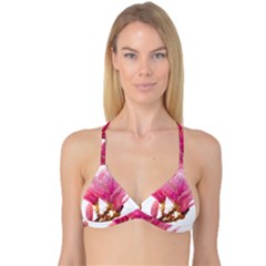 Wild Magnolia Flower Reversible Tri Bikini Top by picsaspassion