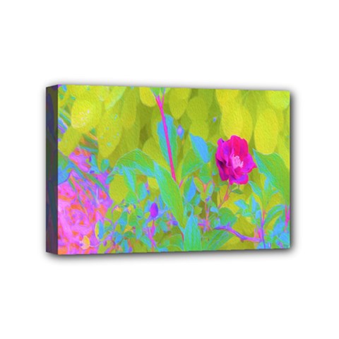 Red Rose With Stunning Golden Yellow Garden Foliage Mini Canvas 6  X 4  (stretched) by myrubiogarden