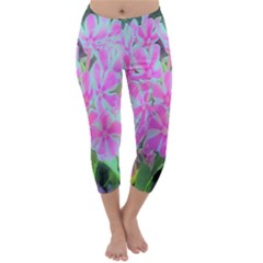 Hot Pink And White Peppermint Twist Garden Phlox Capri Winter Leggings  by myrubiogarden