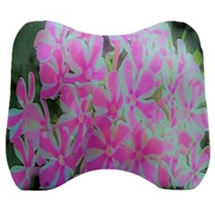 Hot Pink And White Peppermint Twist Garden Phlox Velour Head Support Cushion by myrubiogarden