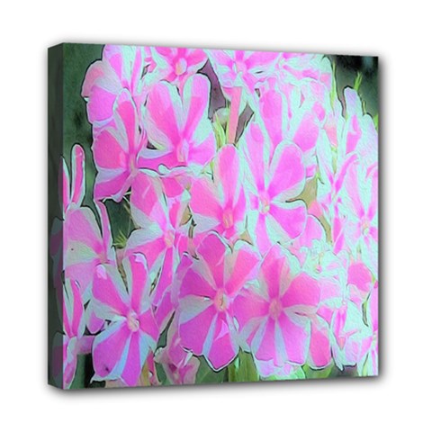 Hot Pink And White Peppermint Twist Garden Phlox Mini Canvas 8  X 8  (stretched) by myrubiogarden