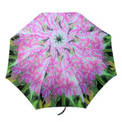 Hot Pink And White Peppermint Twist Garden Phlox Folding Umbrellas by myrubiogarden