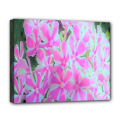 Hot Pink And White Peppermint Twist Garden Phlox Deluxe Canvas 20  X 16  (stretched) by myrubiogarden