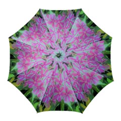 Hot Pink And White Peppermint Twist Garden Phlox Golf Umbrellas by myrubiogarden