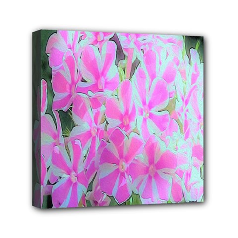 Hot Pink And White Peppermint Twist Garden Phlox Mini Canvas 6  X 6  (stretched) by myrubiogarden