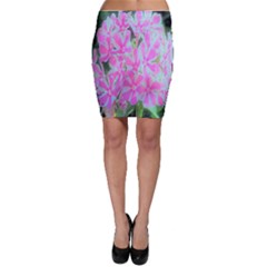 Hot Pink And White Peppermint Twist Garden Phlox Bodycon Skirt by myrubiogarden