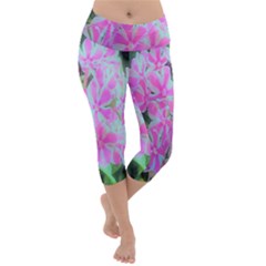 Hot Pink And White Peppermint Twist Garden Phlox Lightweight Velour Capri Yoga Leggings by myrubiogarden