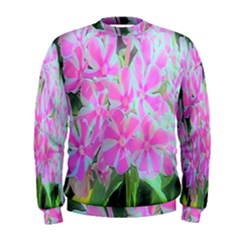 Hot Pink And White Peppermint Twist Garden Phlox Men s Sweatshirt by myrubiogarden