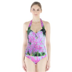 Hot Pink And White Peppermint Twist Garden Phlox Halter Swimsuit