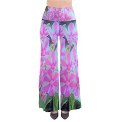 Hot Pink And White Peppermint Twist Garden Phlox So Vintage Palazzo Pants