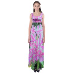 Hot Pink And White Peppermint Twist Garden Phlox Empire Waist Maxi Dress