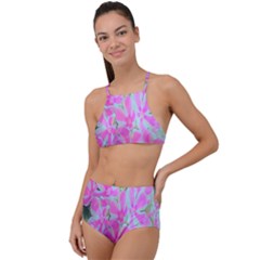 Hot Pink And White Peppermint Twist Garden Phlox High Waist Tankini Set by myrubiogarden