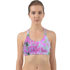 Hot Pink And White Peppermint Twist Garden Phlox Back Web Sports Bra