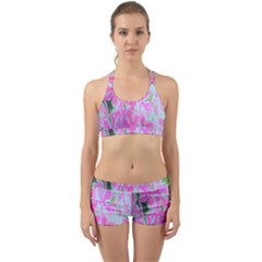 Hot Pink And White Peppermint Twist Garden Phlox Back Web Gym Set