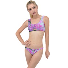 Hot Pink And White Peppermint Twist Garden Phlox The Little Details Bikini Set