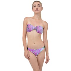 Hot Pink And White Peppermint Twist Garden Phlox Classic Bandeau Bikini Set