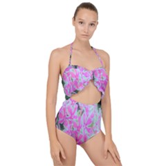 Hot Pink And White Peppermint Twist Garden Phlox Scallop Top Cut Out Swimsuit