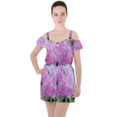 Hot Pink And White Peppermint Twist Garden Phlox Ruffle Cut Out Chiffon Playsuit