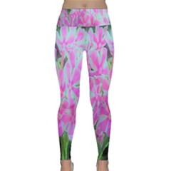 Hot Pink And White Peppermint Twist Garden Phlox Lightweight Velour Classic Yoga Leggings by myrubiogarden