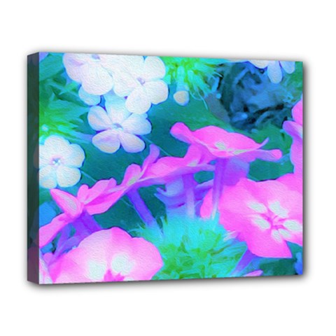 Pink, Green, Blue And White Garden Phlox Flowers Deluxe Canvas 20  X 16  (stretched)