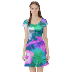 Pink, Green, Blue And White Garden Phlox Flowers Short Sleeve Skater Dress