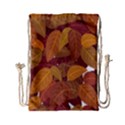 Leaves Pattern Drawstring Bag (Small) View2