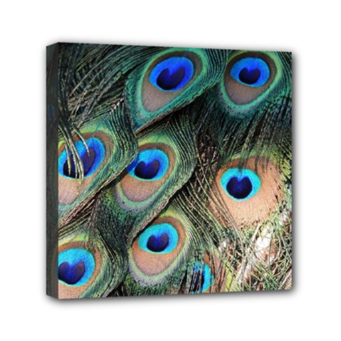 Peacock Feathers Bird Colorful Mini Canvas 6  X 6  (stretched) by Wegoenart