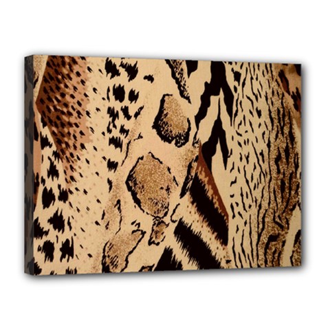 Animal Pattern Design Print Texture Canvas 16  X 12  (stretched) by Wegoenart