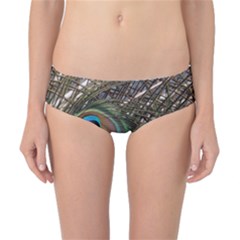 Peacock Tail Feathers Classic Bikini Bottoms by Wegoenart